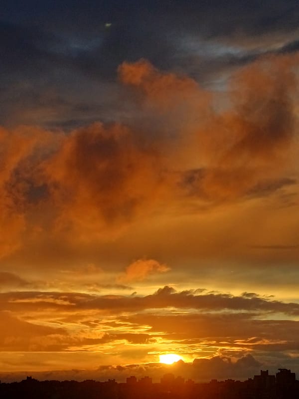 Sunset silhouettes, dusk skies, and a handful of strawberries