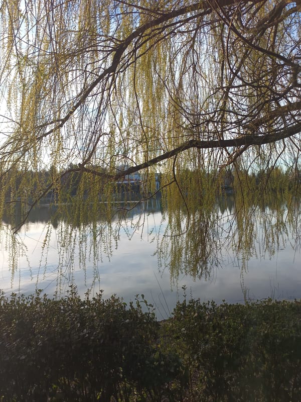 Spring afternoon captured at Targovishte park and lake