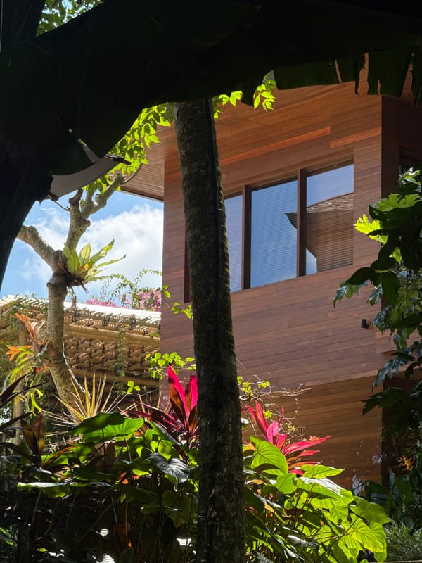 Morning yard work observed in Ubud garden area