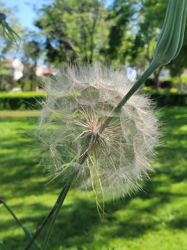 Spring day scenes documented in Serik, Turkey