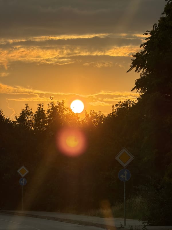 Sunset over a tree-lined road in Lovech, Bulgaria