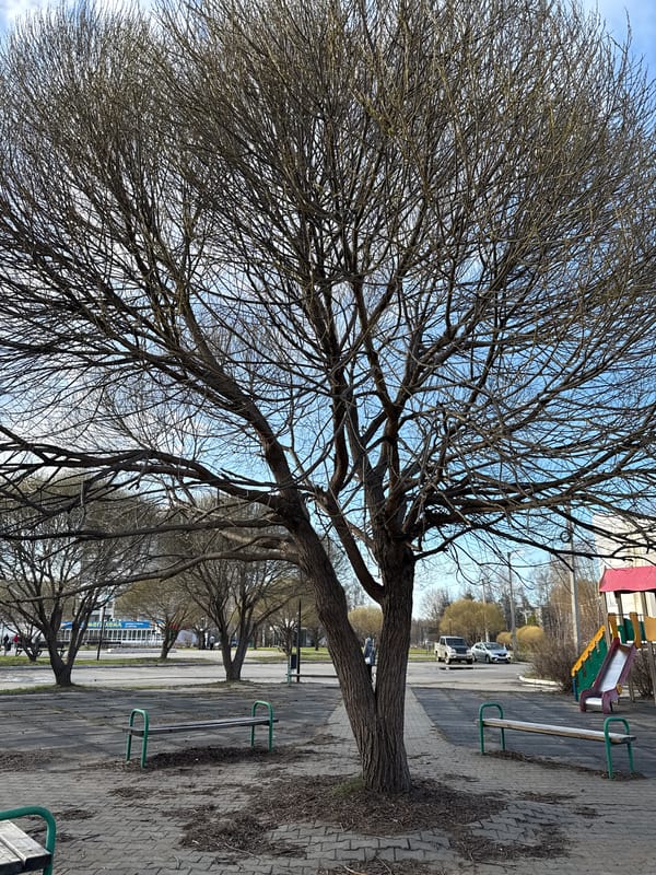 Urban daily life moments documented across three-hour span