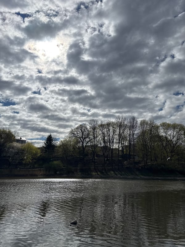 Spring morning landscapes documented across Kaliningrad waterways and parks