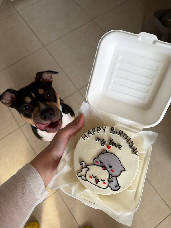 Person holds decorated cake with cartoon cats in Tel Aviv