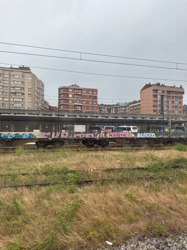 Wildflowers reclaim abandoned railway yard in Avilés, Spain