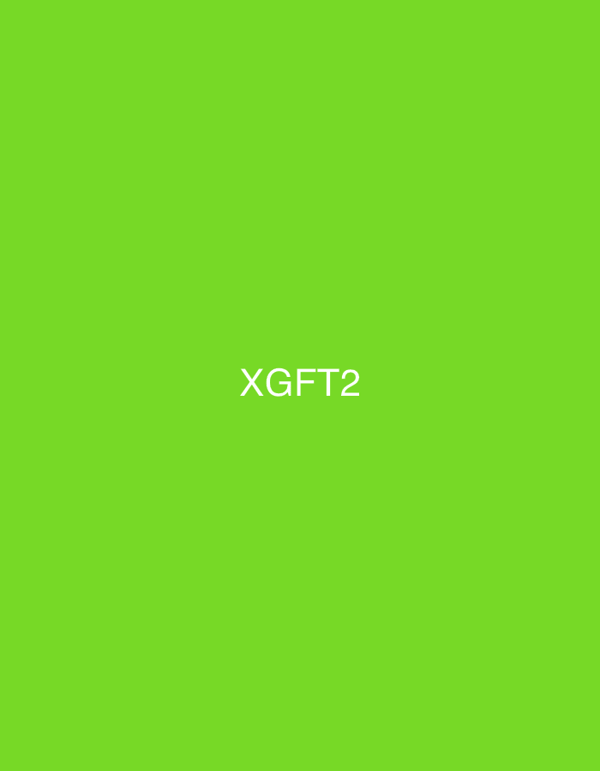 Witness captures "XGFT2" text display on green background