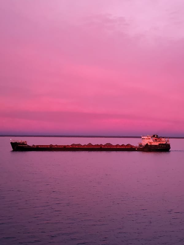 Freighter vessel spotted during pink dawn in Russian waters