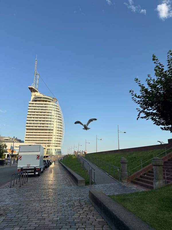 Golden hour at Bremerhaven's waterfront with gulls and the Oceanis Tower
