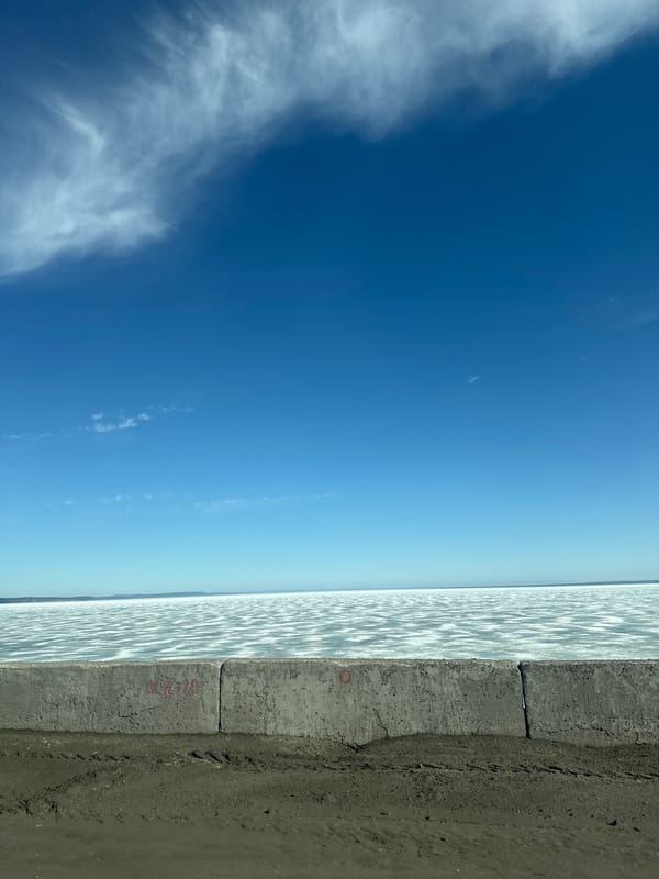 Concrete waterfront embankment observed in Chaikovsky, Russia