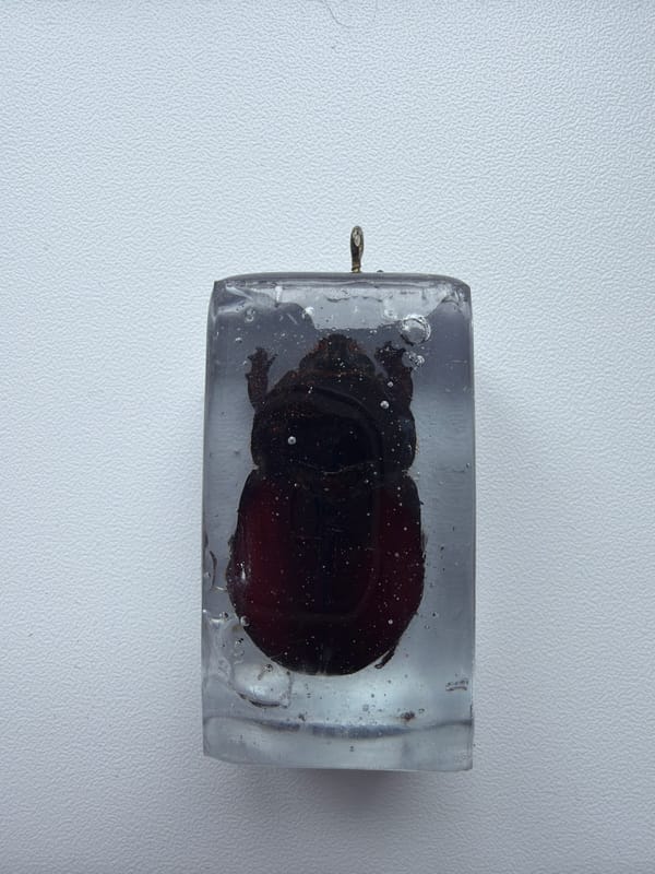Beetle preserved in clear resin pendant documented in Izhevsk