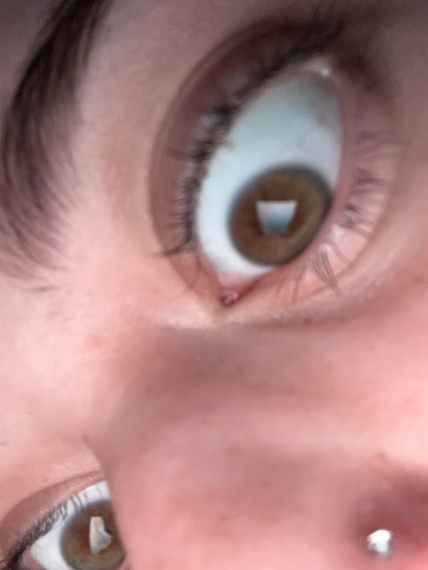 Close-up portrait photography captured in Troyan, Bulgaria