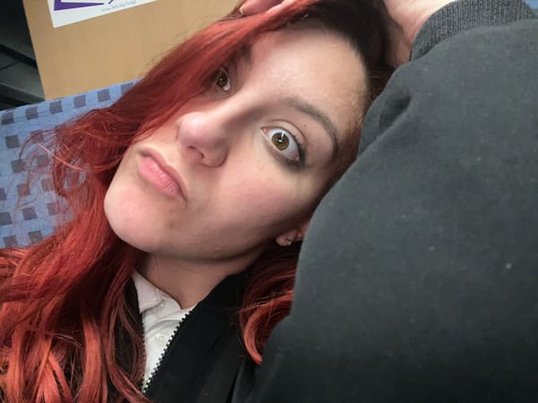Woman takes selfies during train journey in Krumovo, Bulgaria