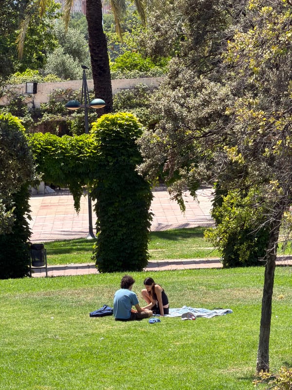 Sunny afternoon park life and streetscapes in Alboraia, Spain
