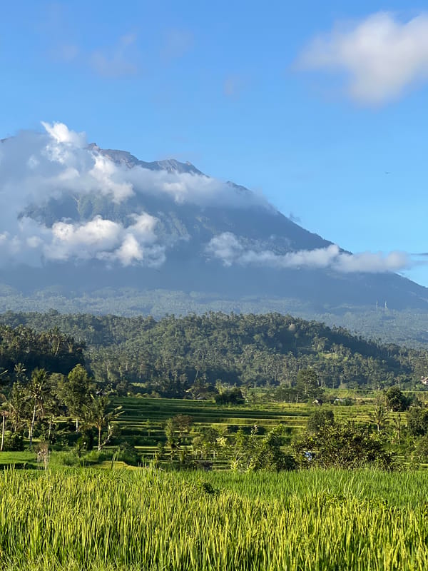 Rural rice paddies documented in Selat, Indonesia morning landscape