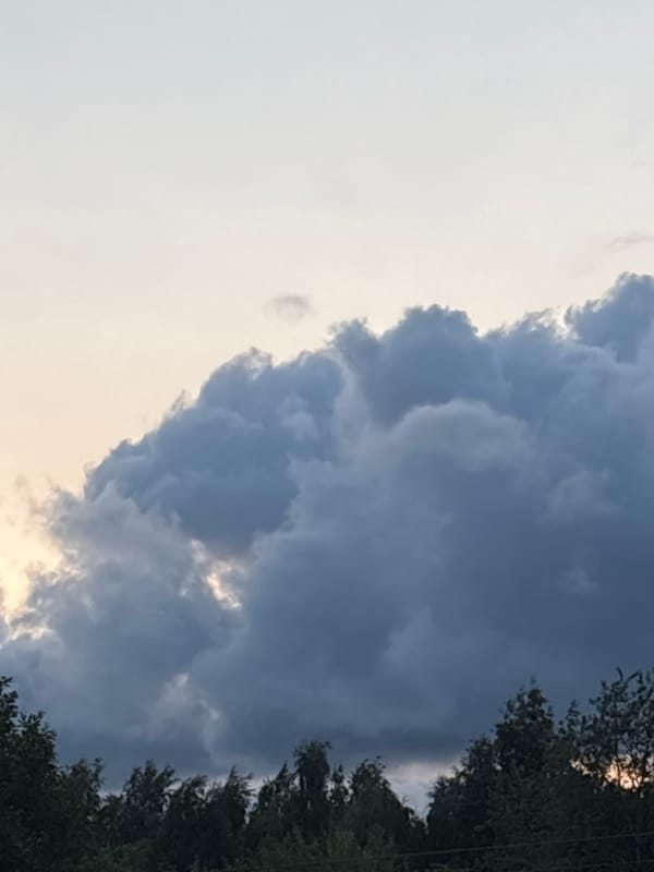 Storm clouds gather over a Russian forest at dusk