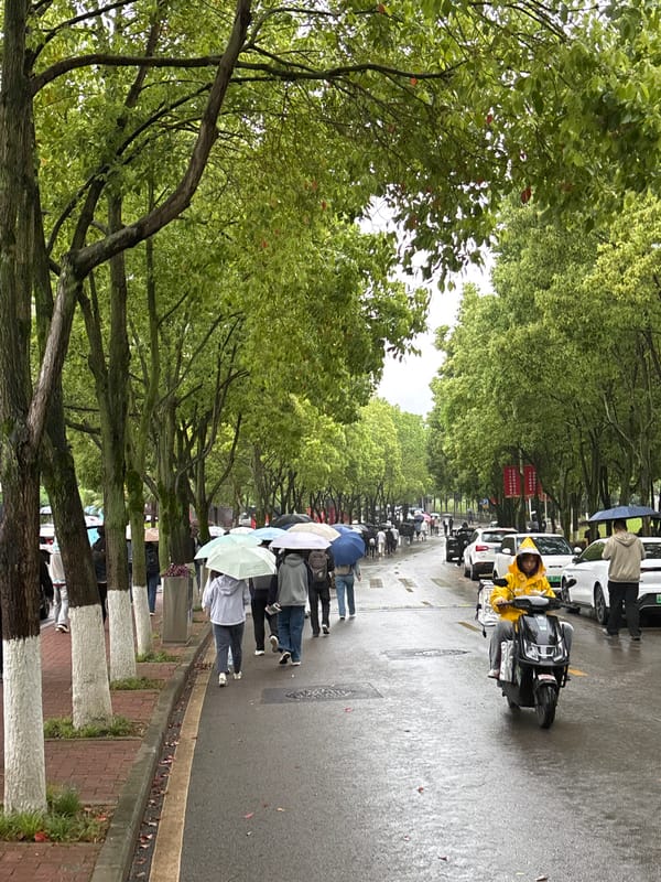 Morning rain brings umbrellas to Jiangjin streets
