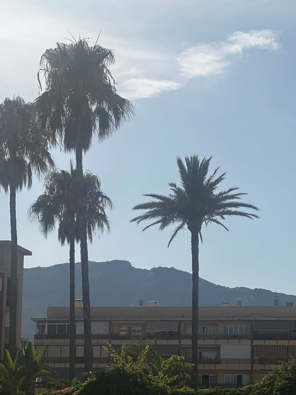 Palm trees and buildings under a hazy Torremolinos sky