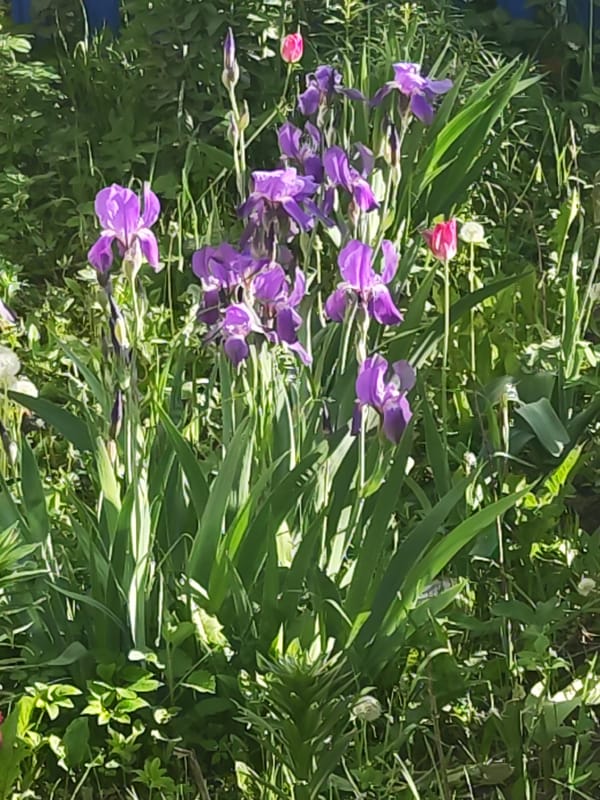 Spring day scenes captured in Альняш, Russia