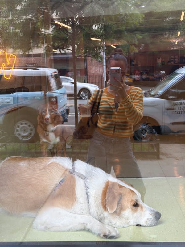Evening observations captured in New York waterfront area