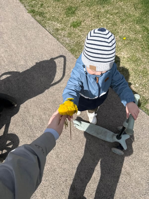 Child gifts dandelions to adult in birch grove