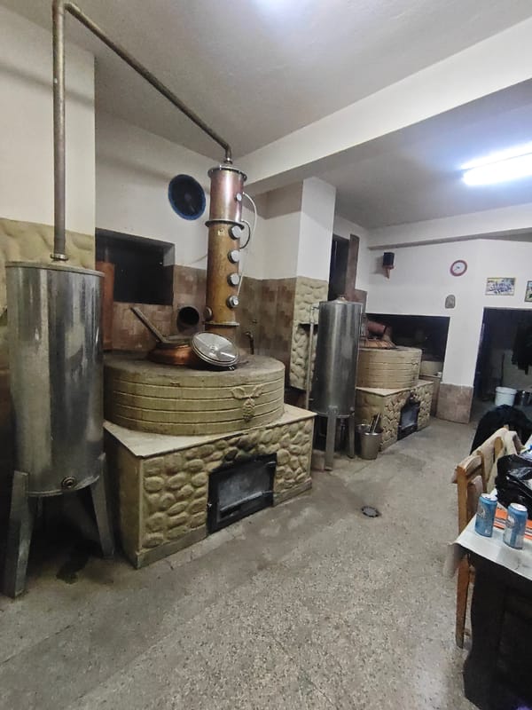 Witness documents diverse indoor scenes over 44 minutes