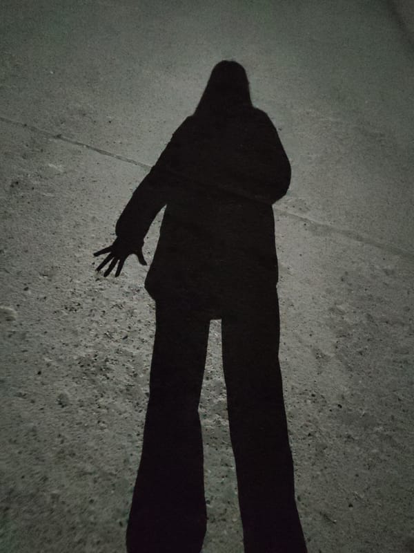 Person's shadow with outstretched hand documented on pavement
