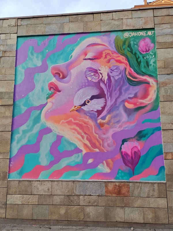 Street art murals documented in Sofia underpass