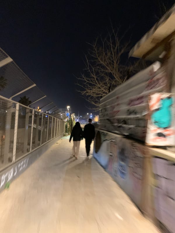 Dog rests in Tel Aviv park overlooking Mediterranean