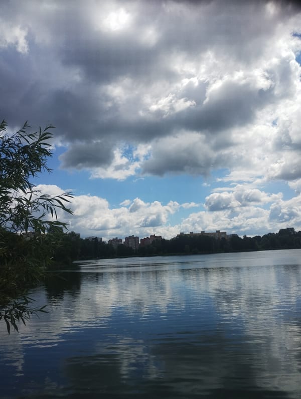 Lakeside park in full use on a summer morning