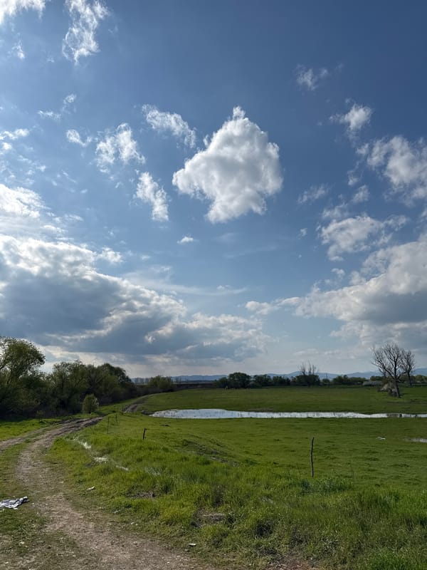 Spring flooding documented in rural Pshenichevo, Bulgaria countryside