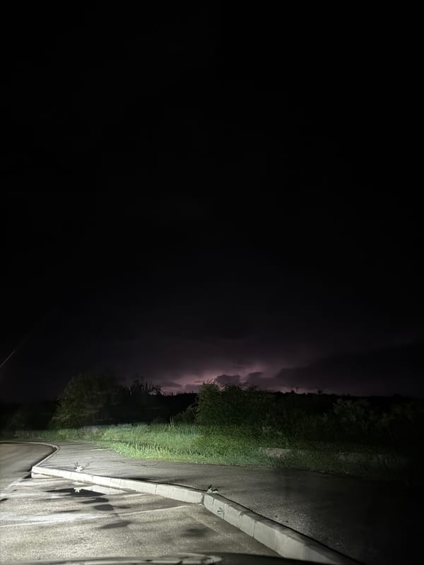 Evening scenes captured in Lovech: lightning, roses, quiet streets