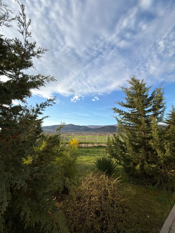 Morning landscape view captured through evergreens in Markovo, Bulgaria