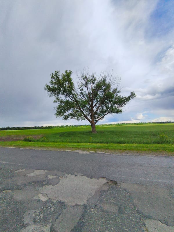 Rural road conditions and countryside documented in Hoholeve, Ukraine