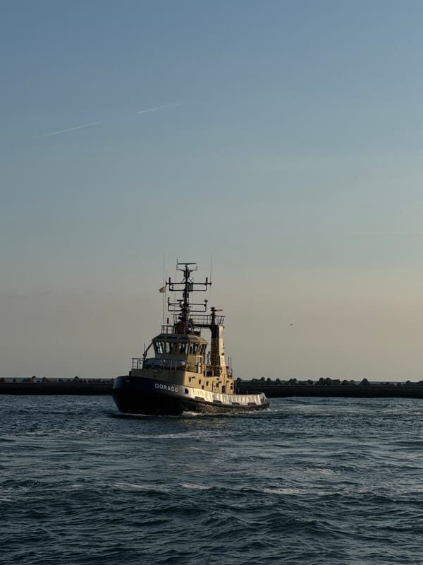 Tugboats and a container ship working the Ravenna port approaches