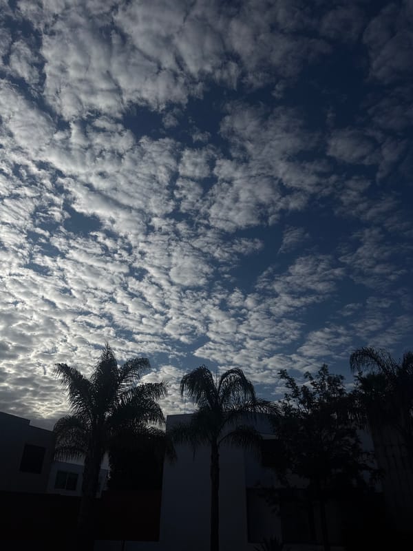 Altocumulus clouds observed over Puebla region municipalities