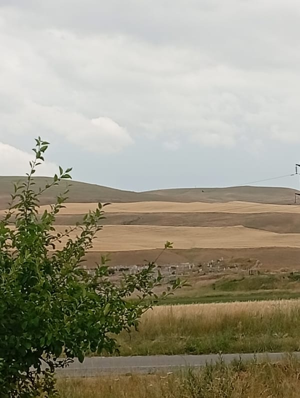 Late-summer fields and arid hills near Tash-Moinok, Kyrgyzstan