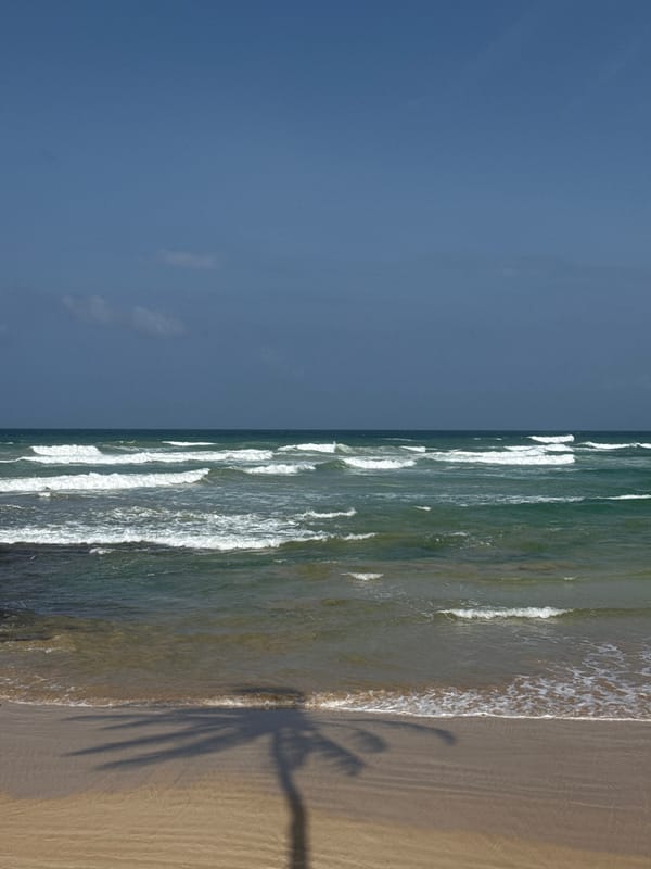 Quiet morning on Ahangama beach, Sri Lanka's south coast