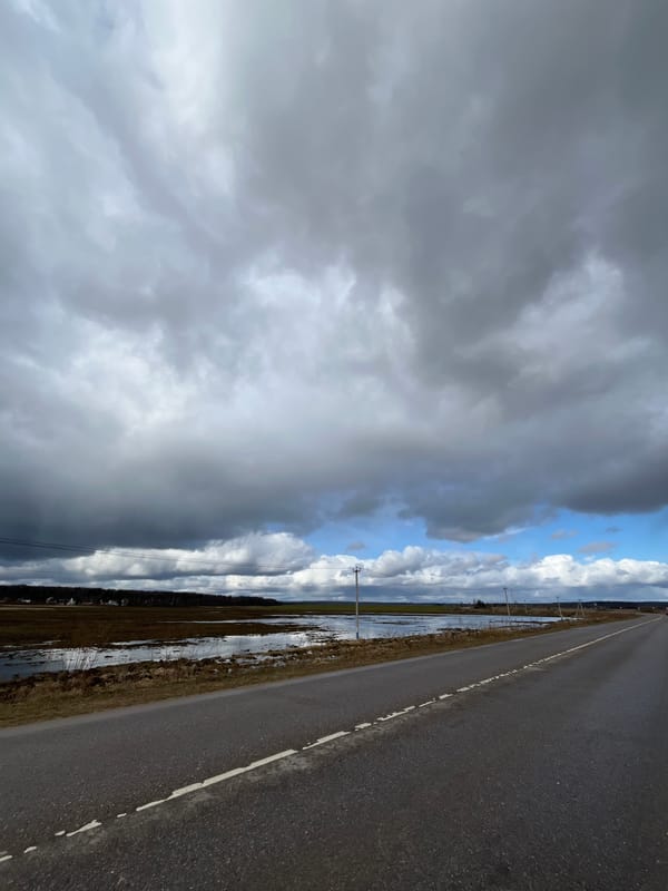 Rural road conditions documented near Ямуга, Russia