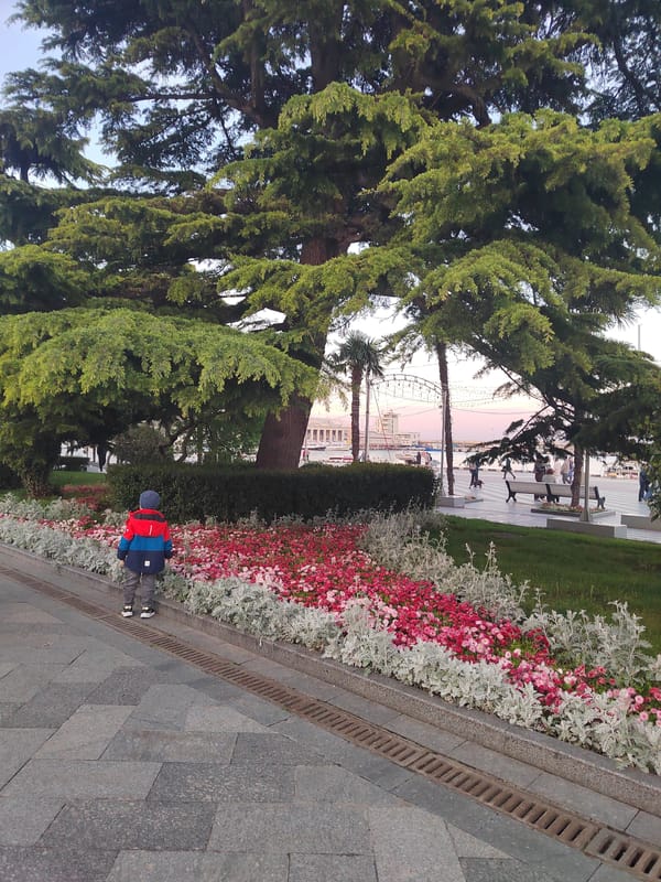 Urban waterfront promenade documented during afternoon hours May 18