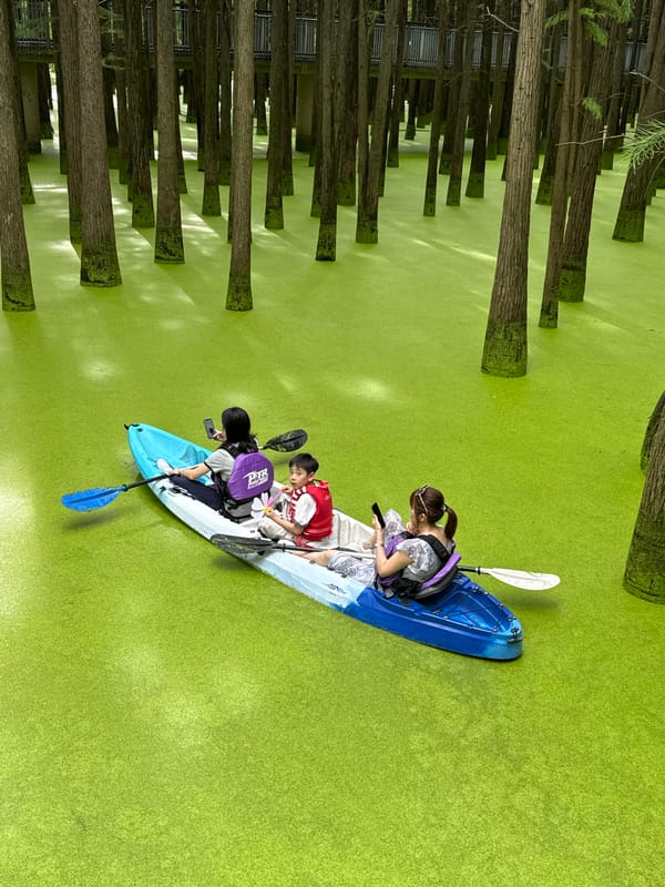 Kayaking and strolling through Lin'an's duckweed-covered wetland forest
