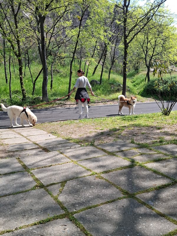 Morning park walk documented in Plovdiv, Bulgaria