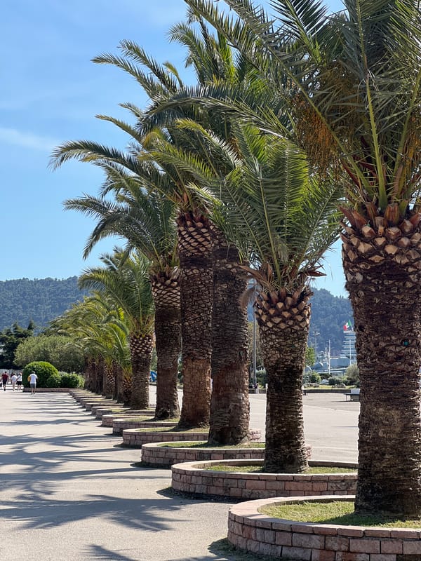 Sunny afternoon stroll documented through Bar, Montenegro's waterfront areas
