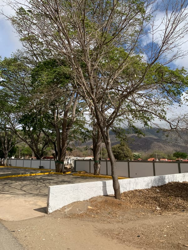 Bus journey documented through Venezuelan towns Saturday evening