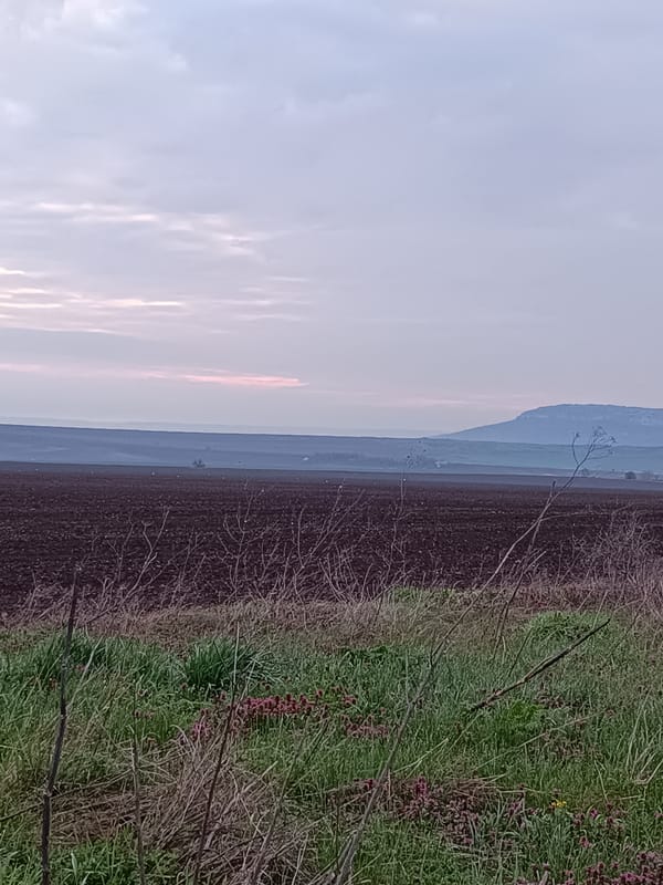 Rural landscape observed in Vasil Drumev, Bulgaria
