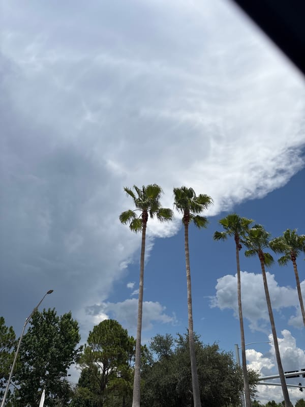Utility crew and equipment near a palm-lined building on a stormy afternoon