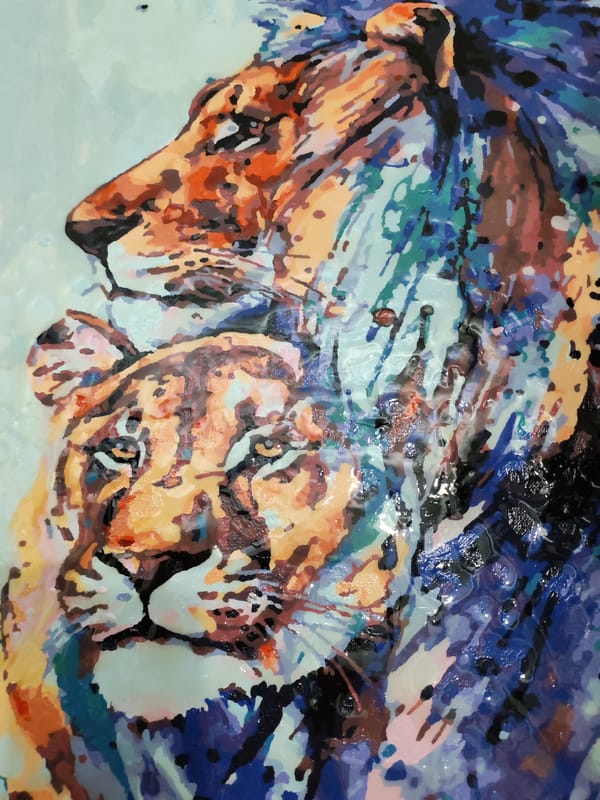 Indoor photography session captures domestic life in Izhevsk