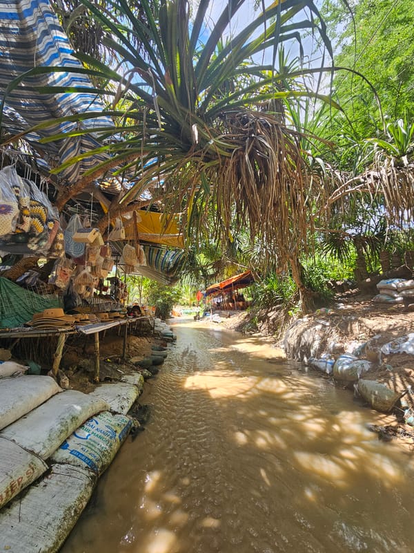 Exploring Mũi Né's rocky coast and muddy waterways