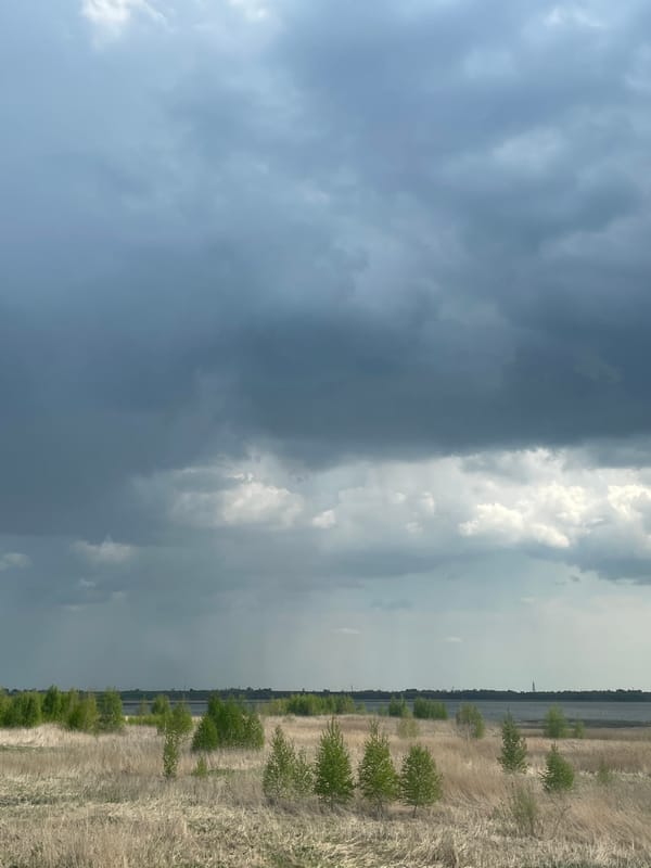 Rural landscape and apple photographed in Kopeysk, Russia