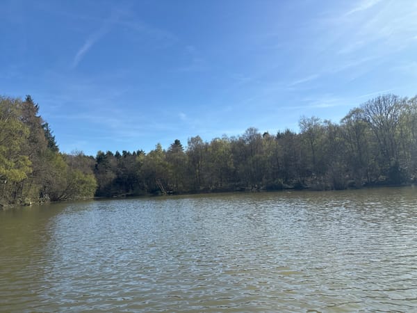 Peaceful afternoon scene documented at Tilgate Lake, Crawley
