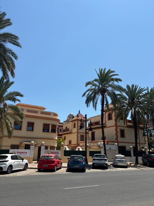 Sunny afternoon on Valencia's palm-lined city streets